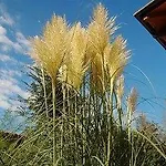 Cà Nuova Alojamento de Turismo Rural *