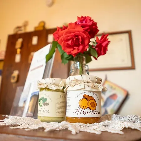Farm stay Ca Nuova *