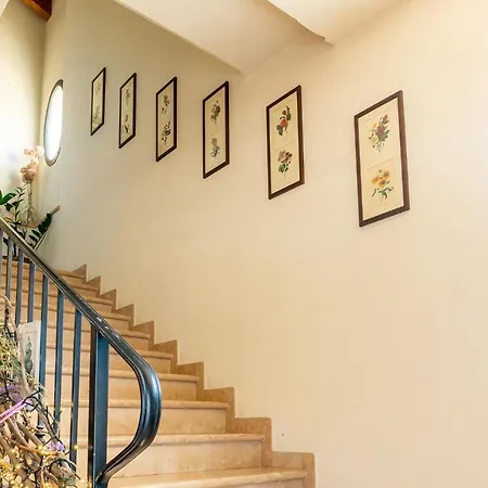 ファームステイ Ca Nuova *