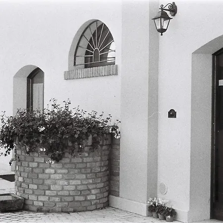 Ca Nuova ミネルビオ