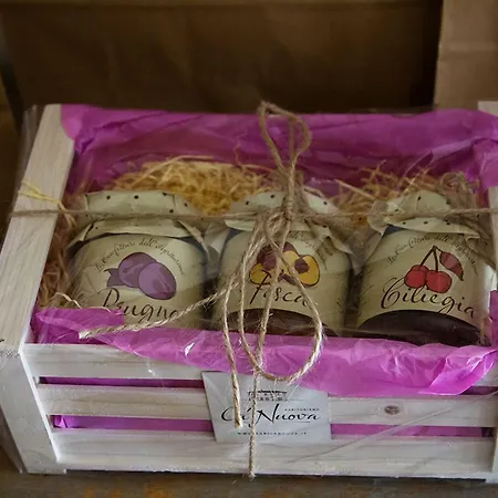 ファームステイ Ca Nuova