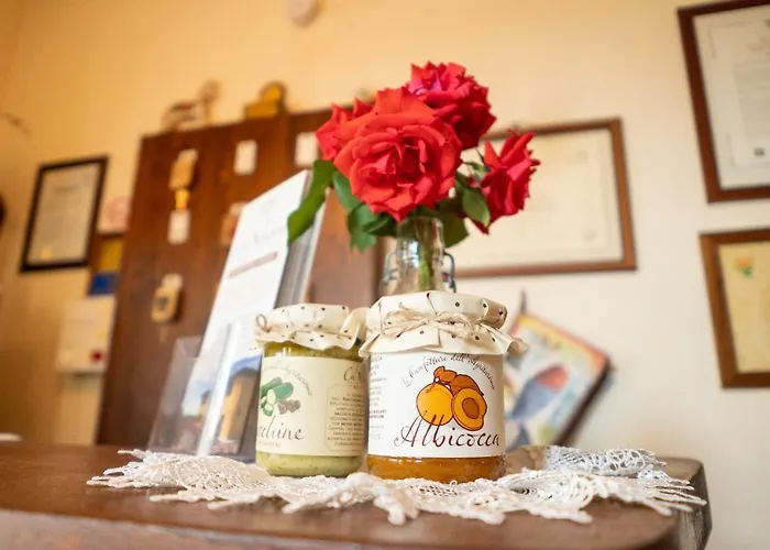 Lantgård Ca Nuova *