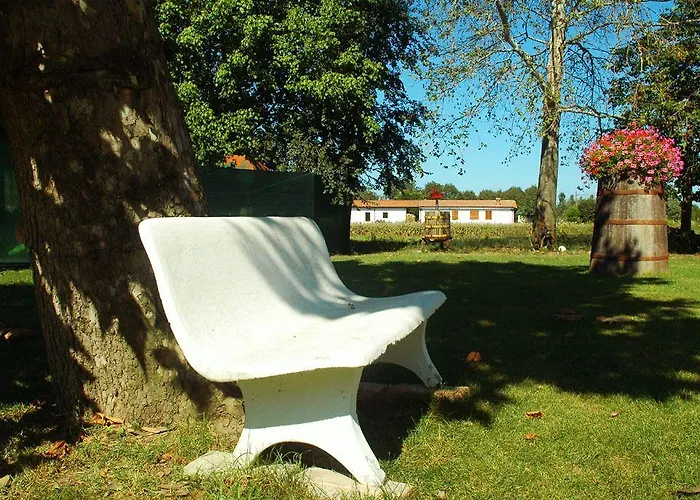 Ca Nuova Vakantieboerderij *