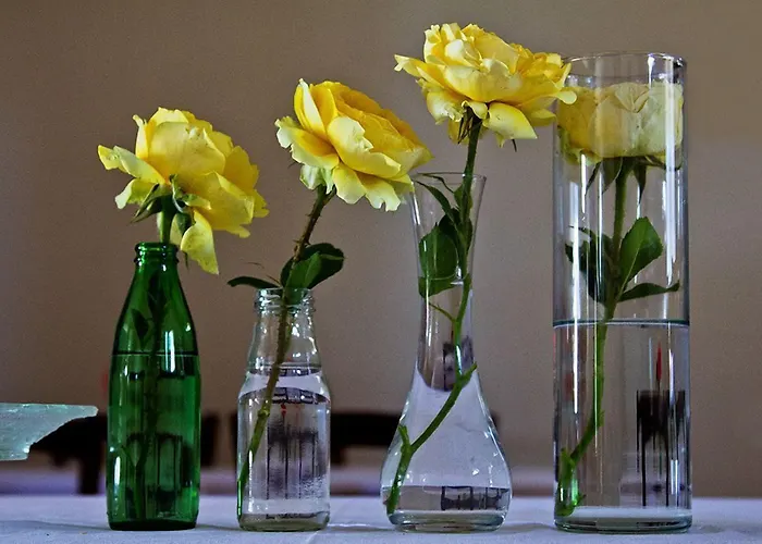 Ca Nuova Lantgård *